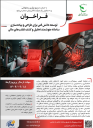 توسعه دانش فنی برای طراحی و پیاده سازی سامانه هوشمند تحلیل و کشف تقلب های مالی